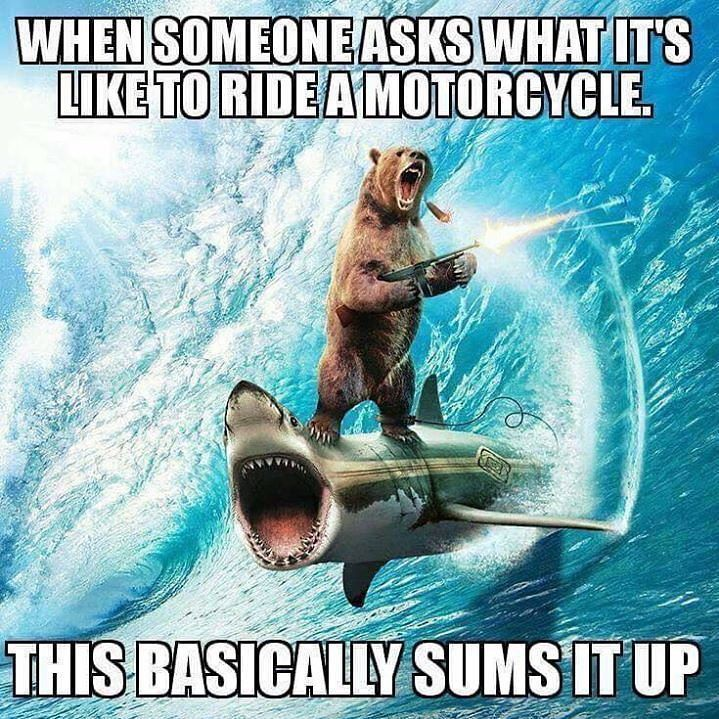 1633103711617.png