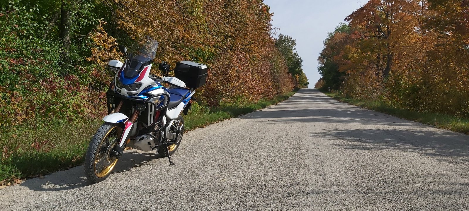 20200927_114032.jpg