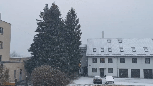 20201120.gif