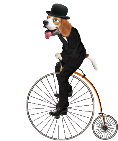 back-in-my-day-bicycle.gif