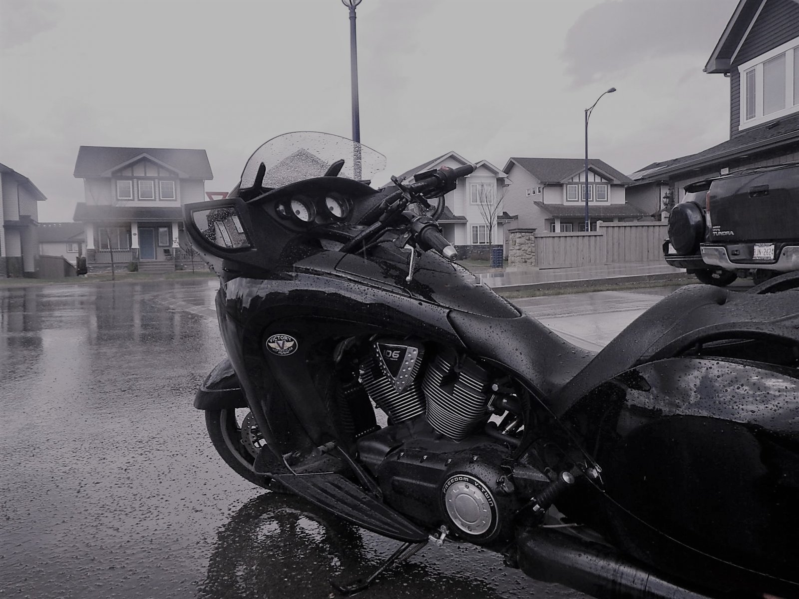 Black Widow rain (2).jpg
