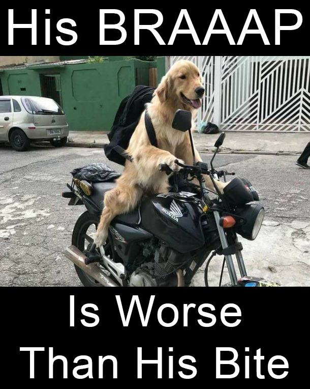 4276