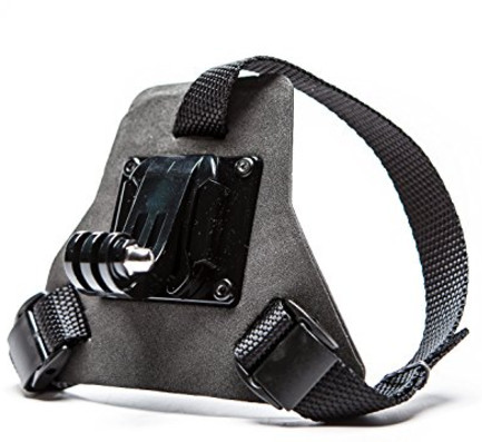 chinstrap.jpg