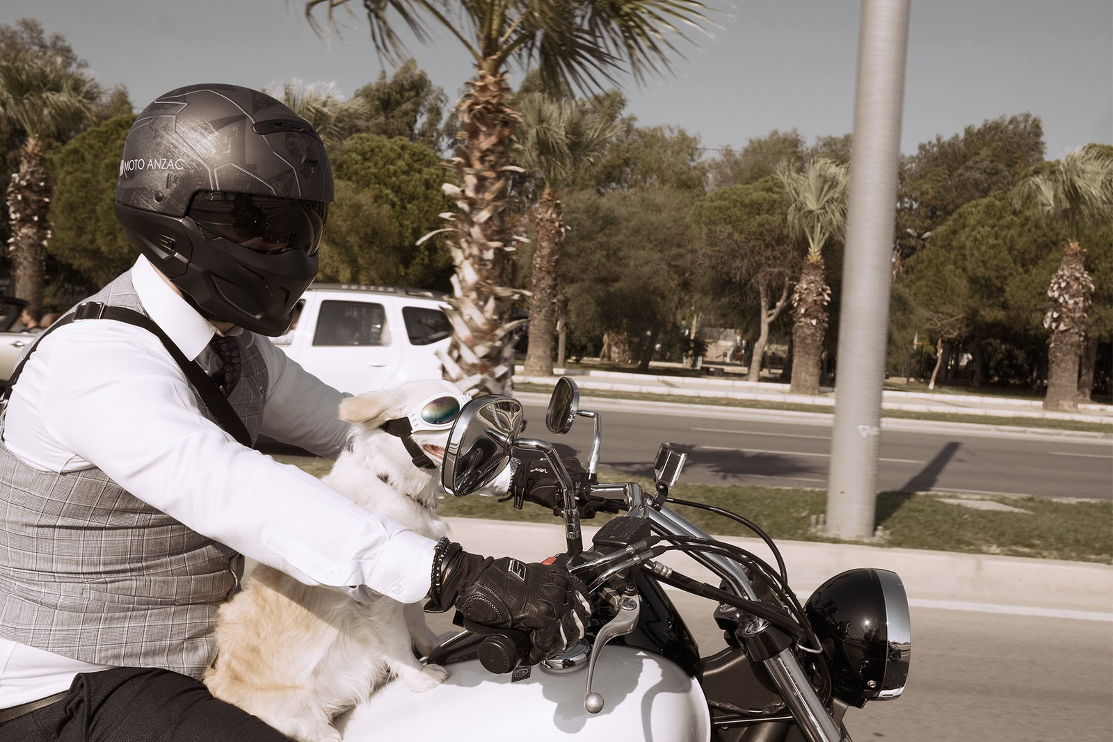 cruising.jpg