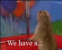 D5O5JLPNJ34K6AGD2R4YC6XZKFS6XMPK.gif