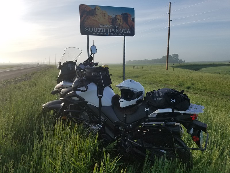 DL650-L.jpg