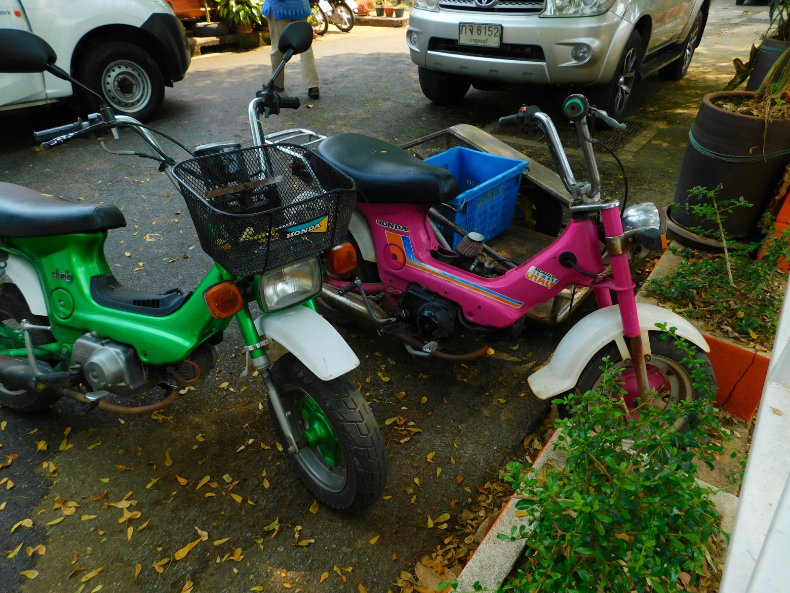 DSCN0326.JPG