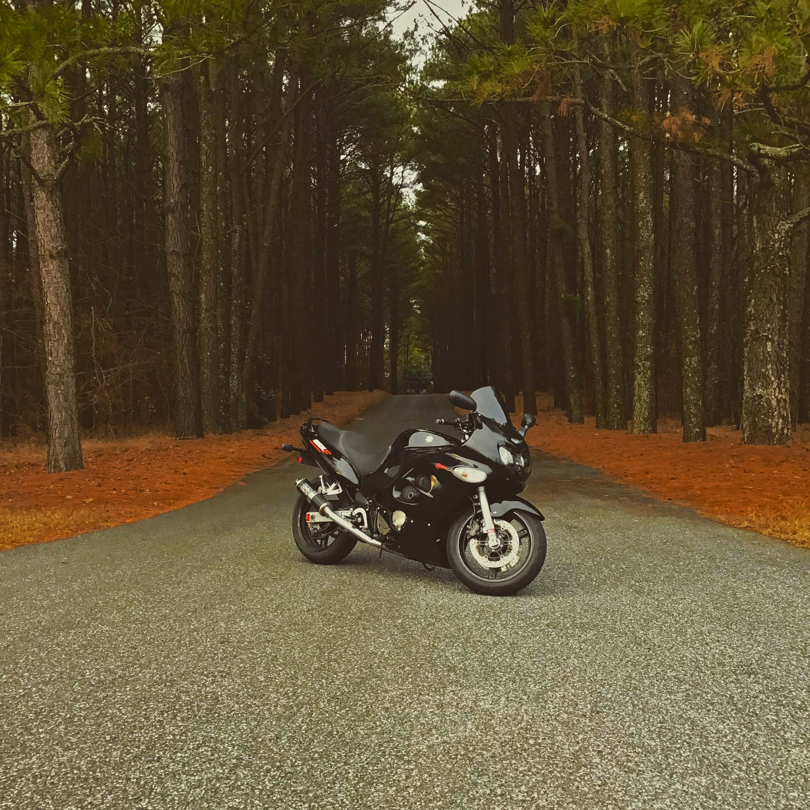 Edited picture of bike and driveway.JPG