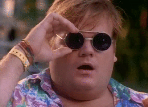 giphy_4.gif