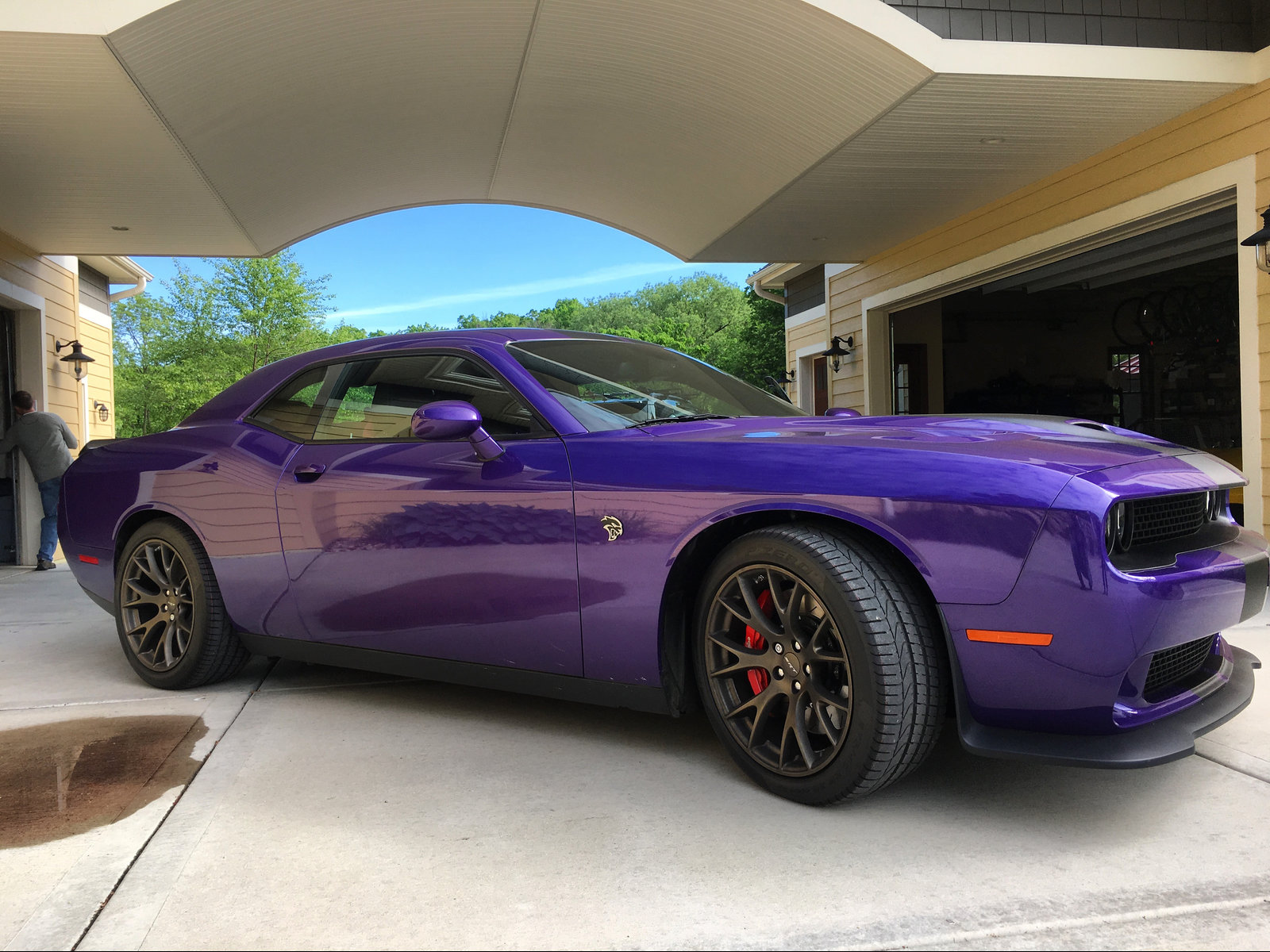 hellcatplum.jpg