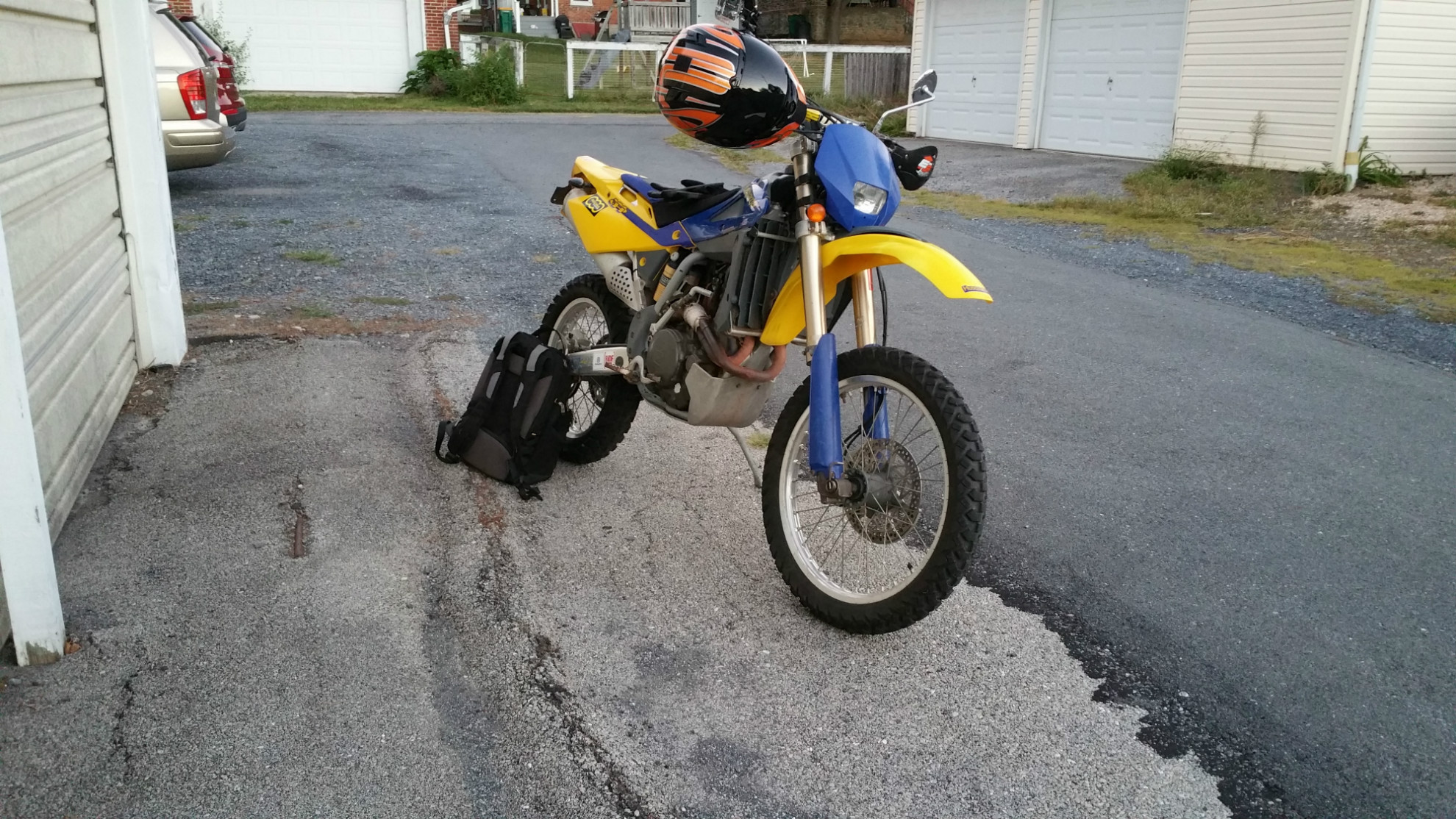 husky3.jpg