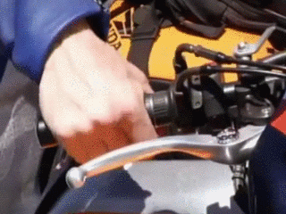 image.gif