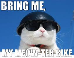 mewterbike.jpg