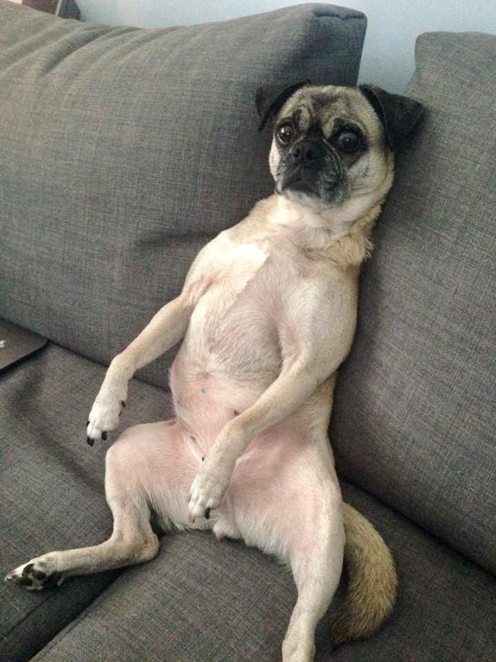 miley temp.jpg