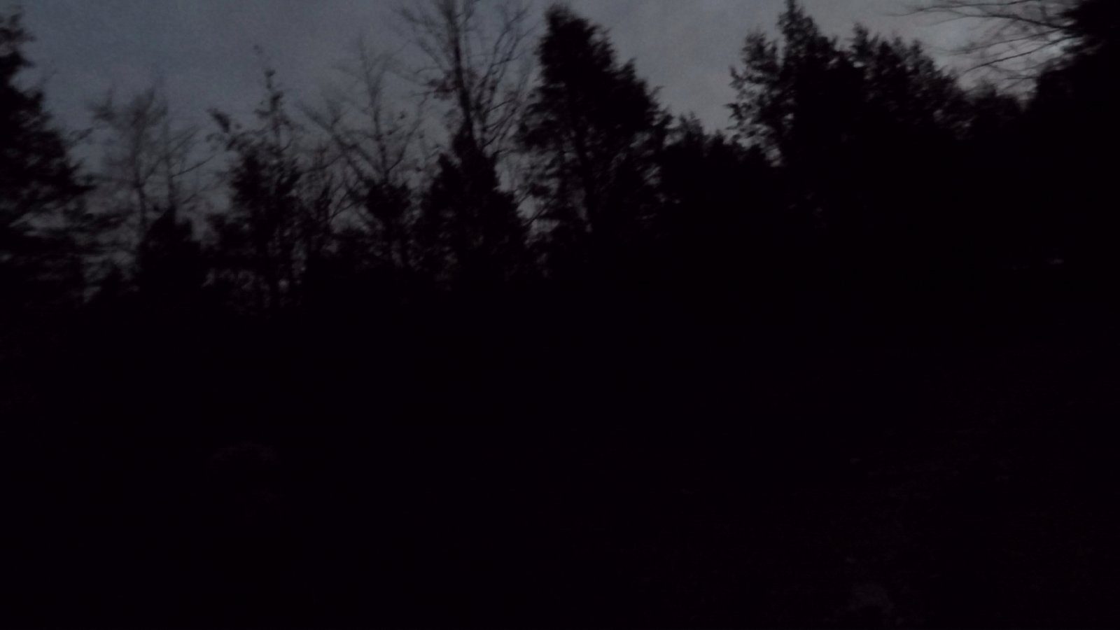 Needs night vision.jpg