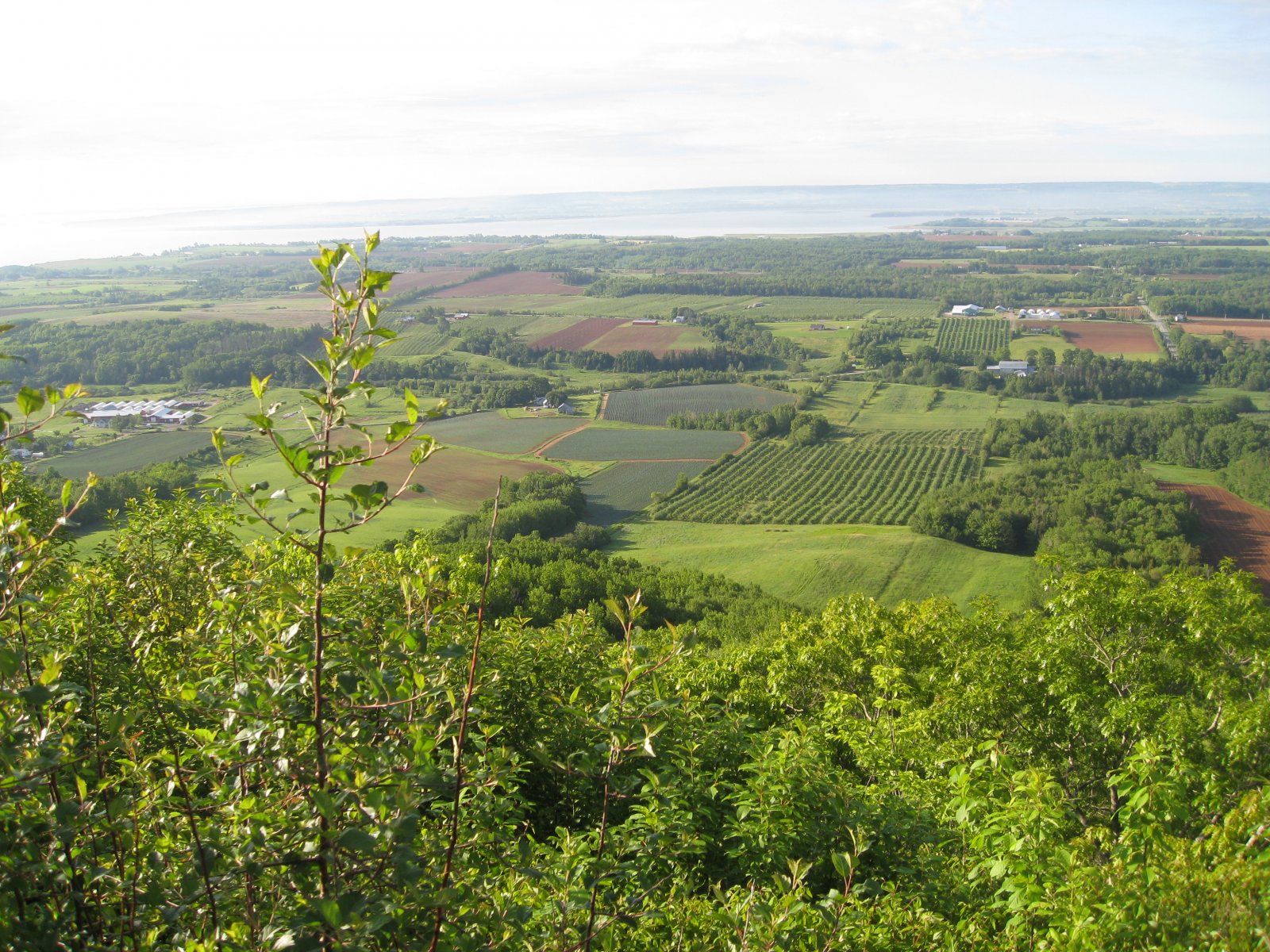 Nova Scotia 2009 489.jpg