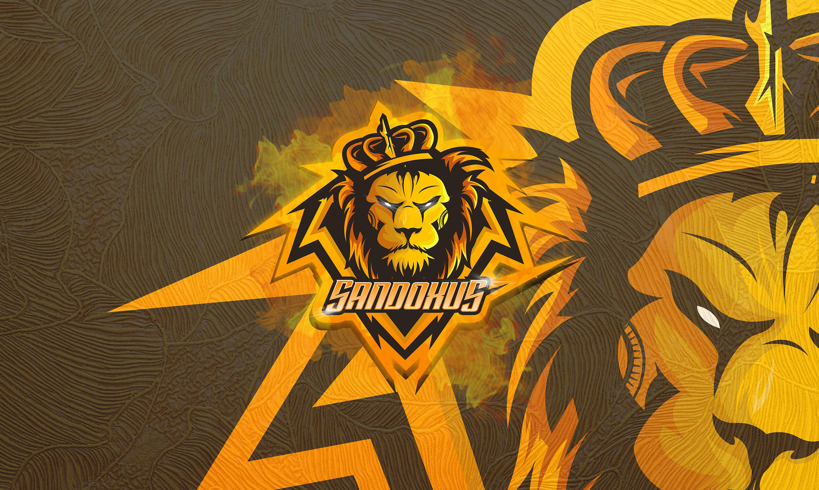 resize lion.jpg