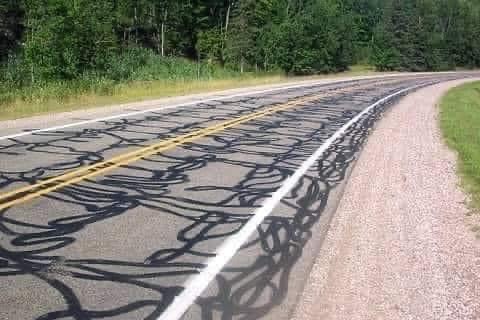 Road-Tar-Snakes.jpeg