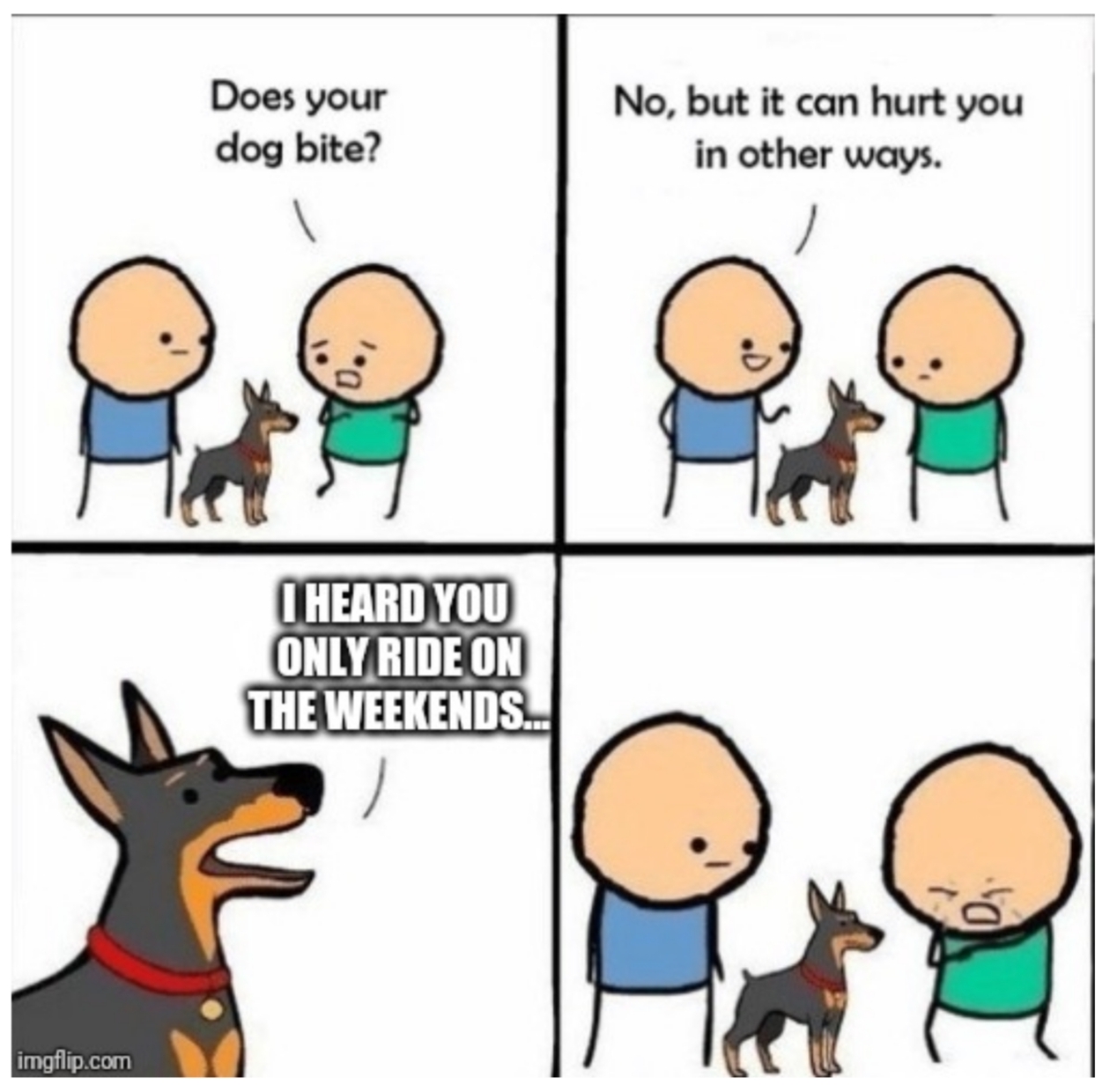 4282