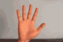 tenor.gif