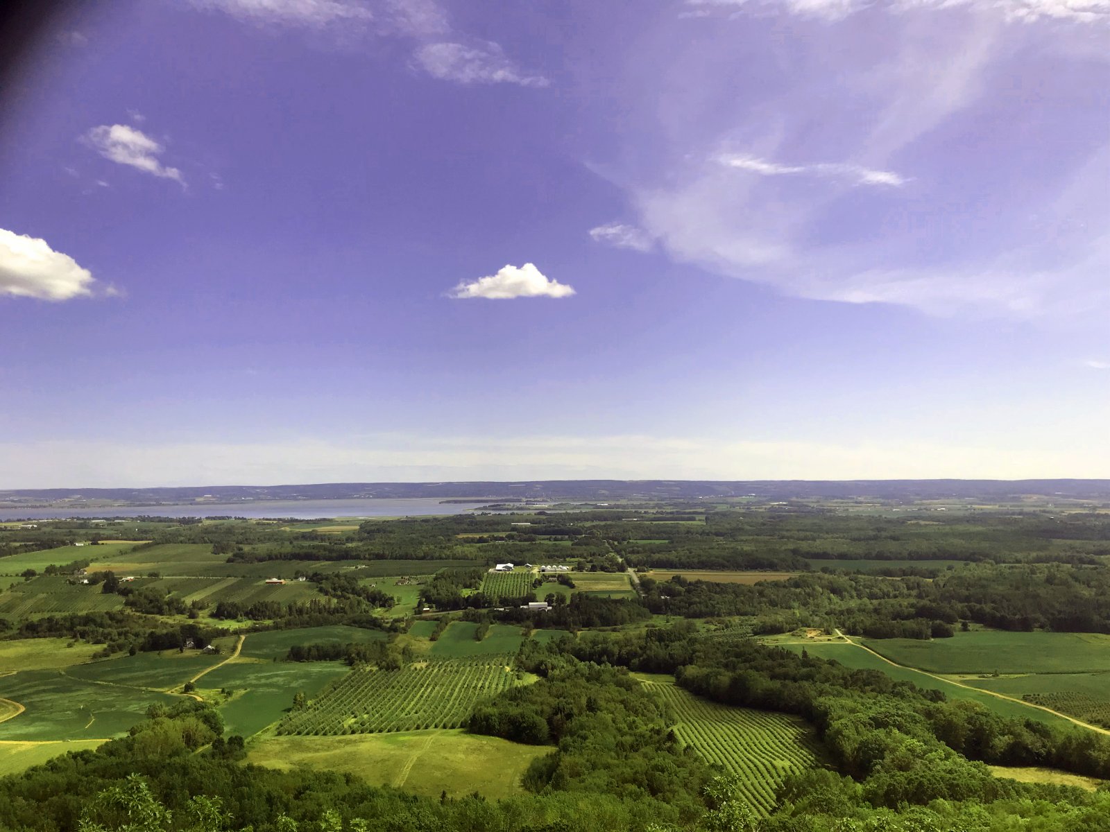The Lookoff.jpg