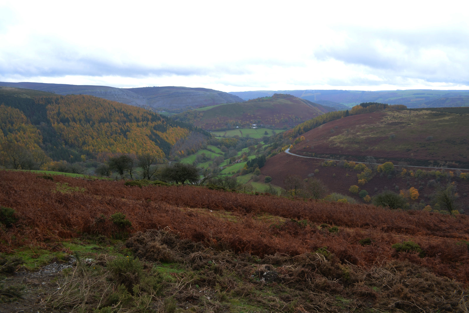 Wales 030.jpg