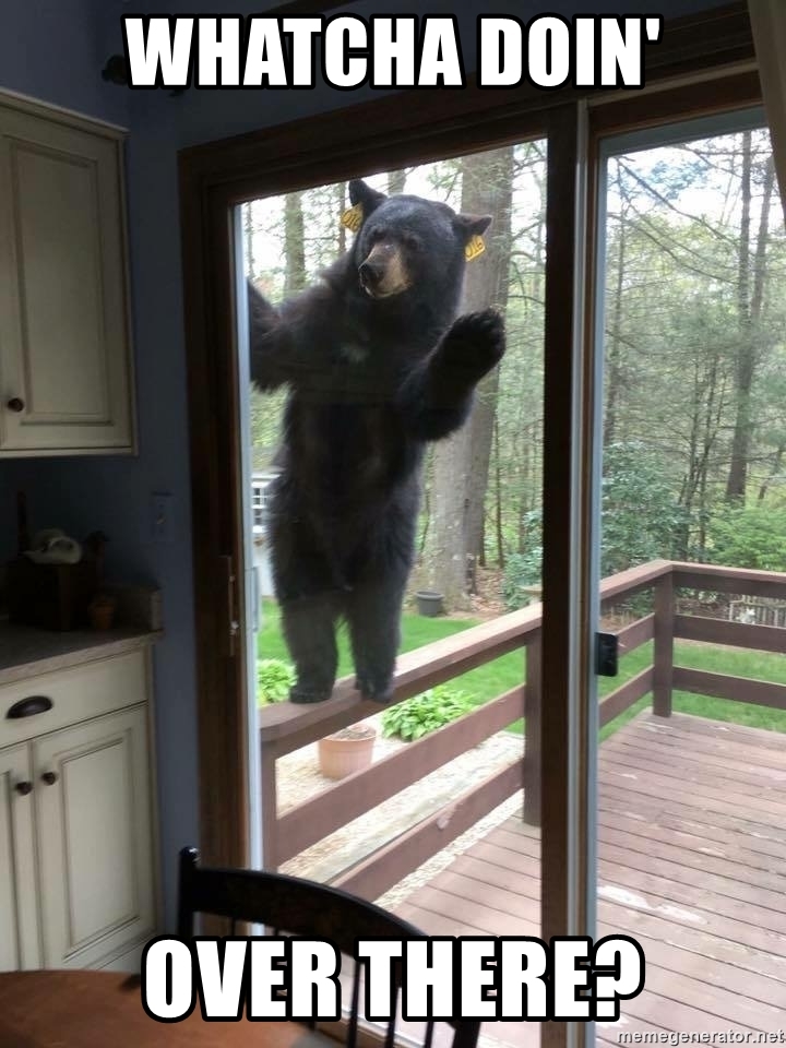 4393