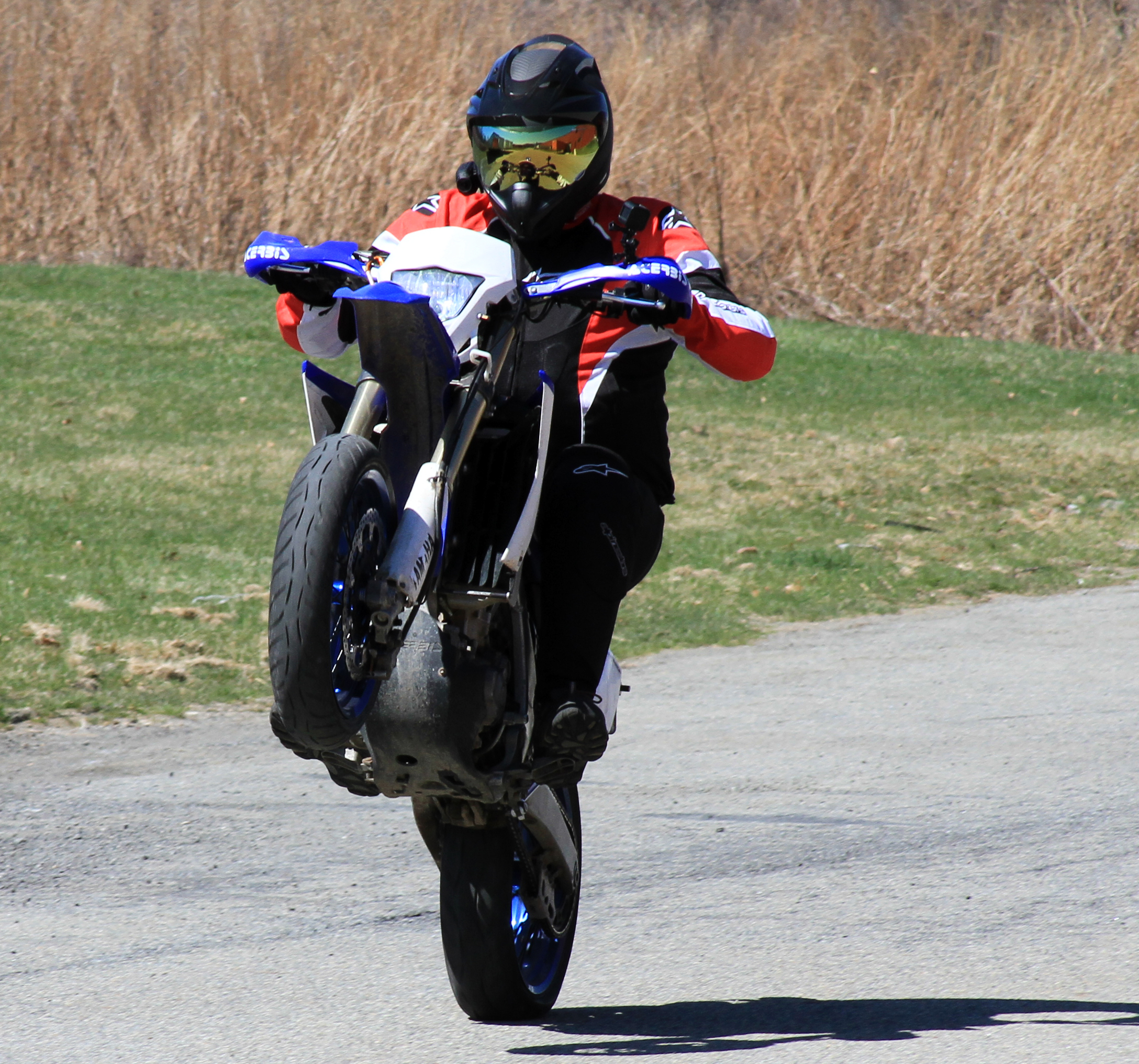 wheelies.jpg