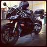 Night Fury Moto