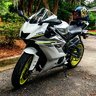 NeonFlexR6
