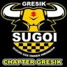 X-GSX-User