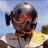 noddydon