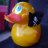 Ducman69