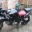 SvCatRider