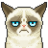 KittenMeat