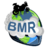 BluMblRdr
